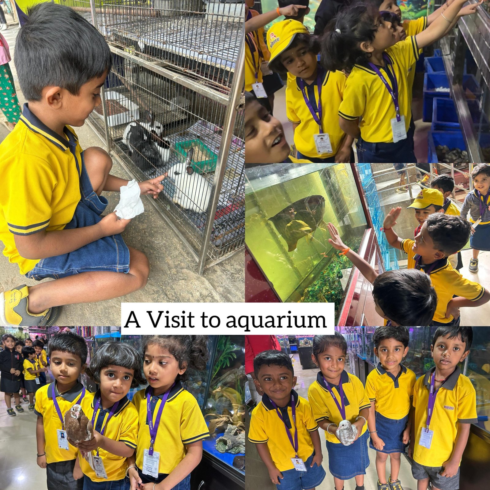 WhatsApp Image 2025-12-18 at 3.06.26 PM